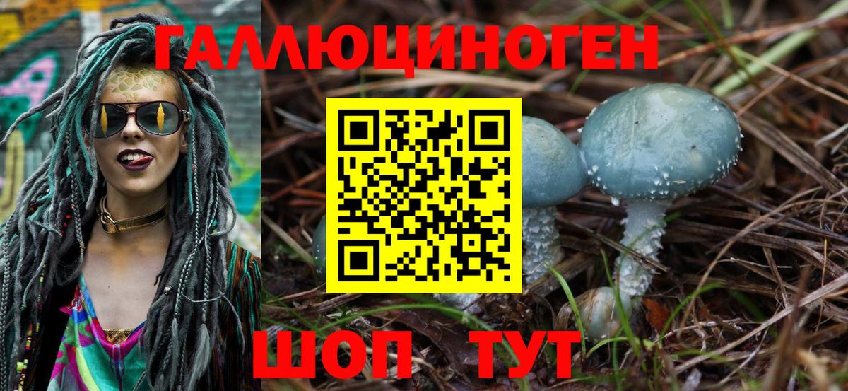 Галлюциногенные грибы Psilocybe Егорьевск