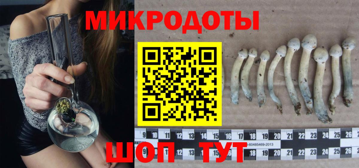 Егорьевск  Галлюциногенные грибы Magic Shrooms  Вход с VPN  Галлюциногенные грибы Psilocybine cubensis 
